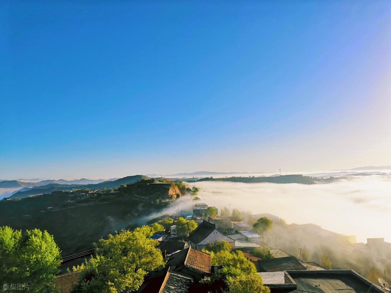 李清照的作品20首,说尽一生,美到极致