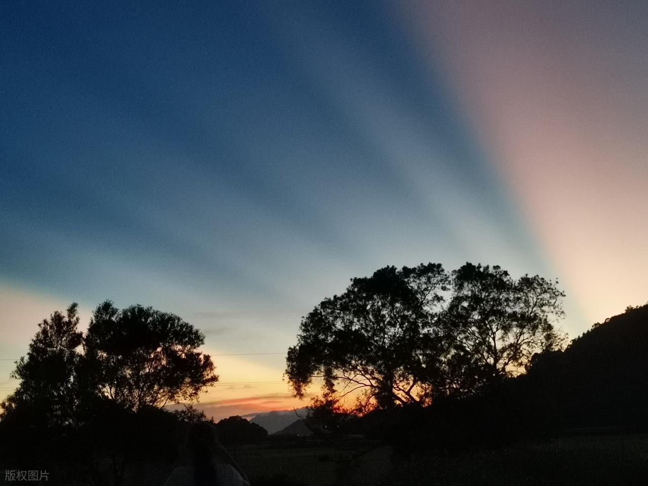 李清照的作品20首,说尽一生,美到极致