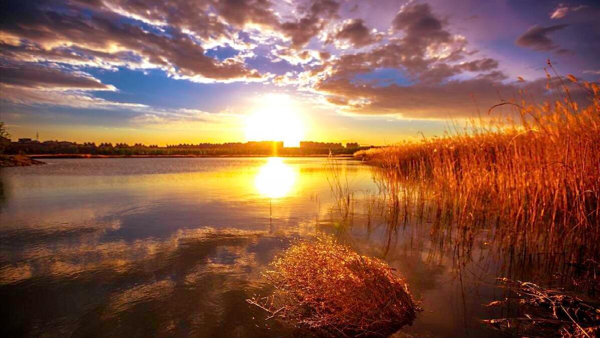 诗经中的爱情名句10句，读一次感动一次