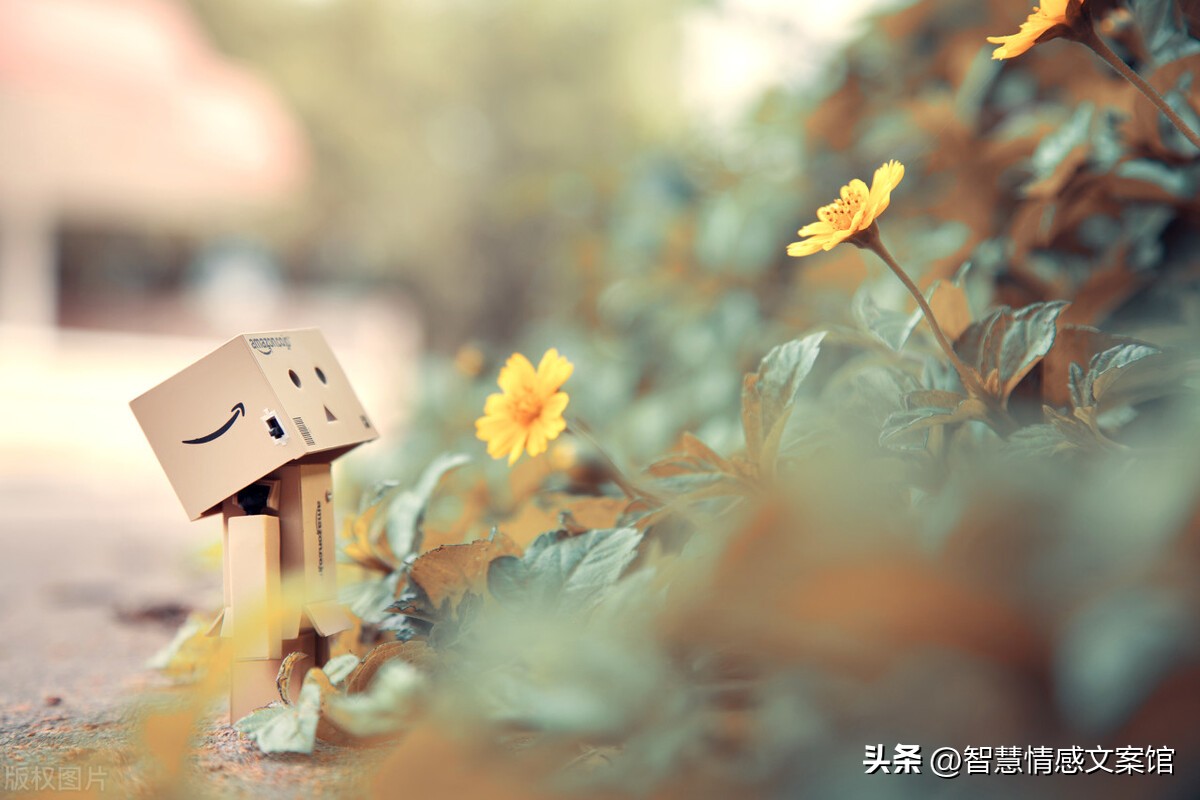 幸福暖心文案50句，让健康与快乐永在