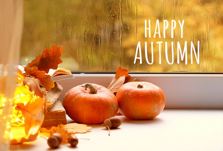 秋天的句子20句，一叶知秋，一眼知你