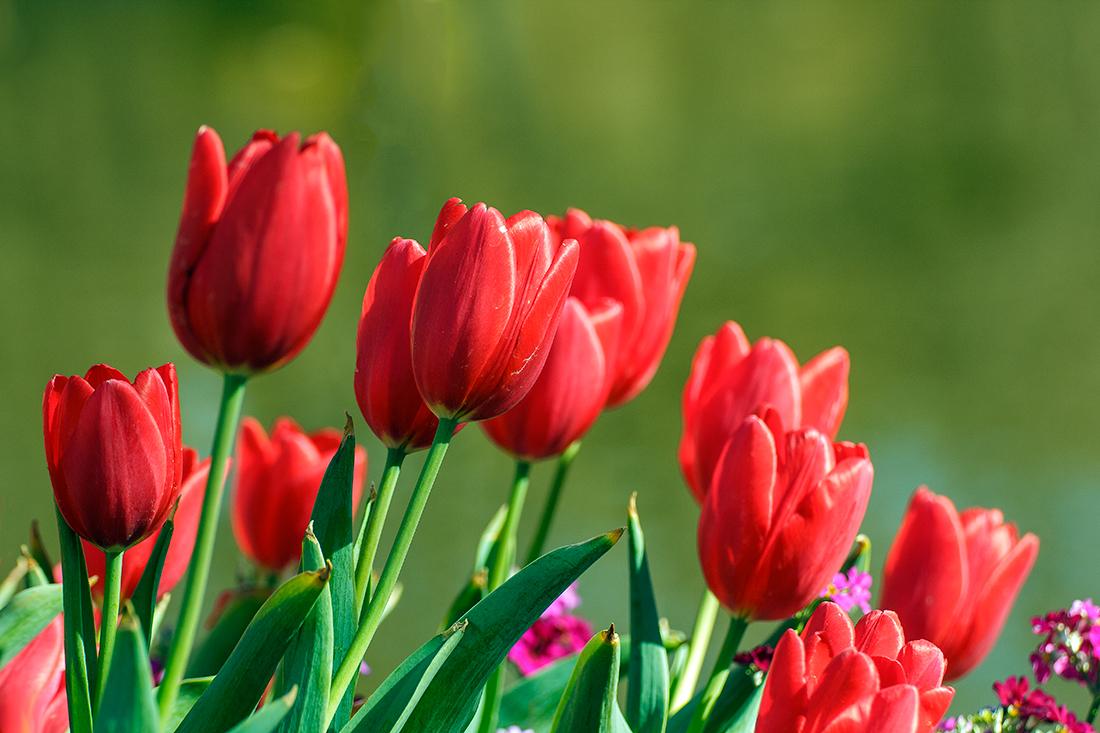 人生经典语录16句，人生没有白走的路，每一步都算数