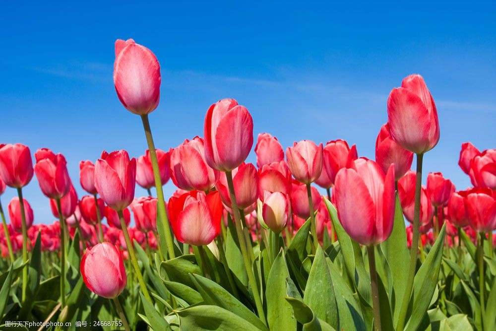 人生经典语录16句，人生没有白走的路，每一步都算数