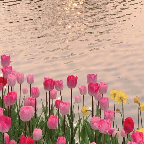 人生经典语录16句，人生没有白走的路，每一步都算数