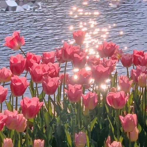 人生经典语录16句，人生没有白走的路，每一步都算数