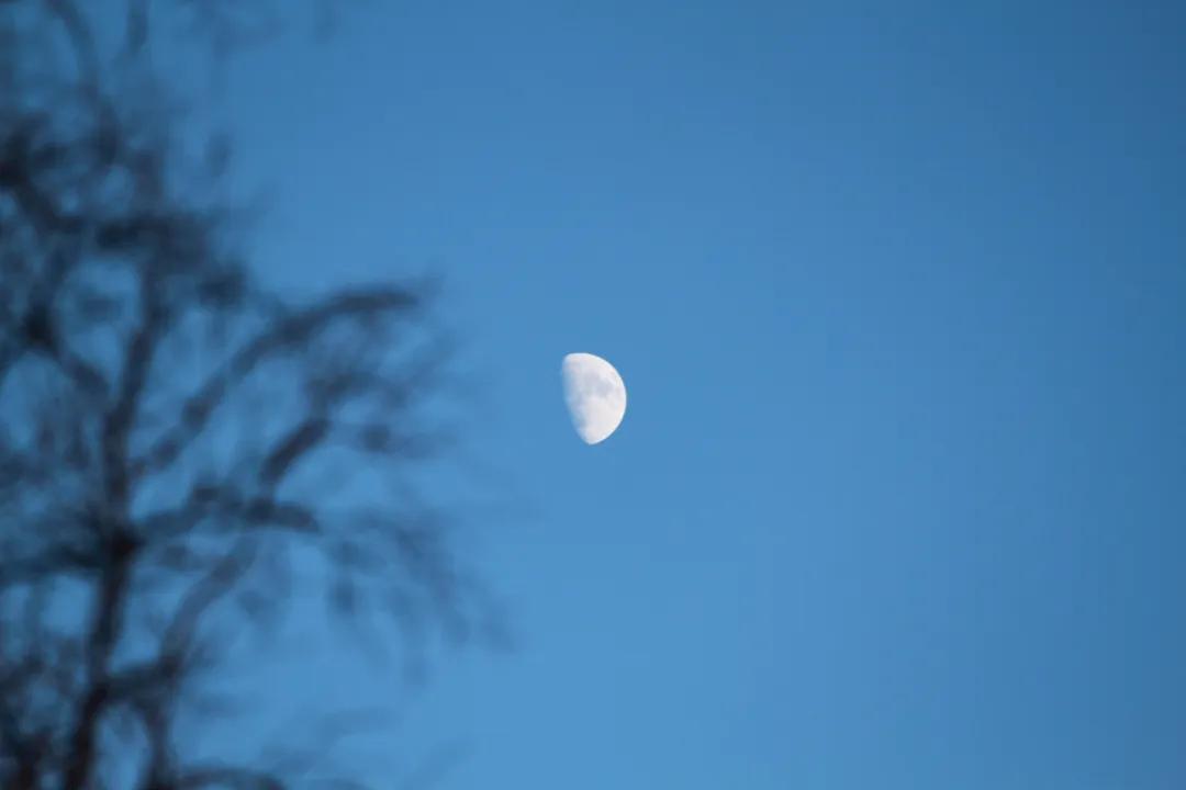 黄庭坚的诗10首，藏尽宋代文人的风骨!