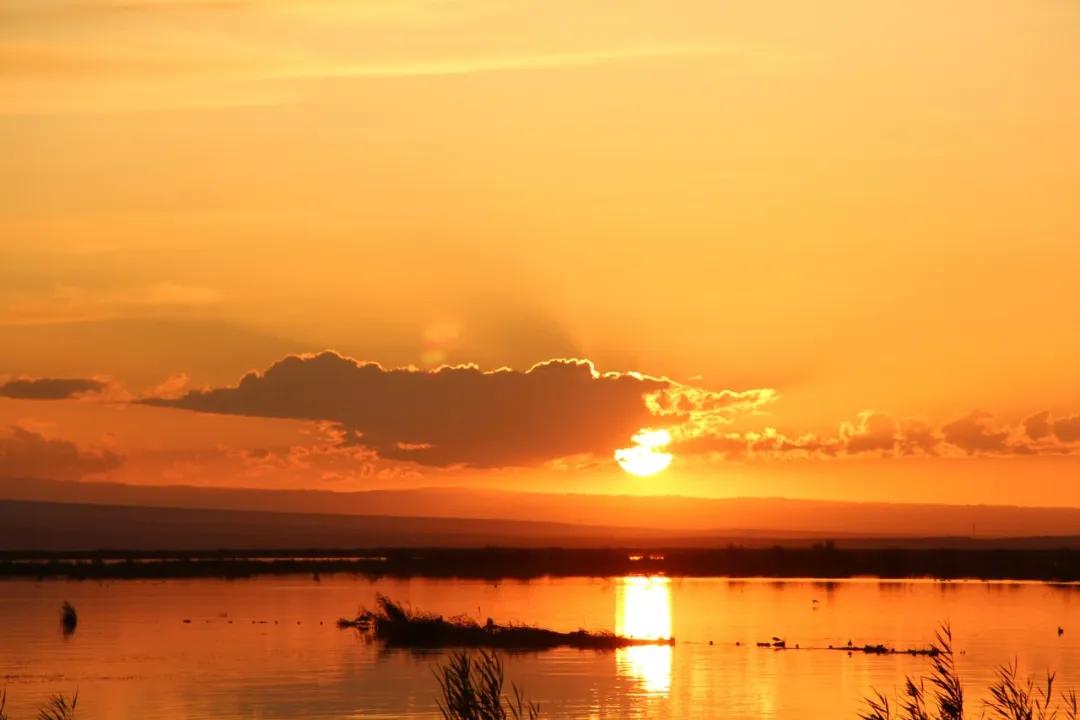 黄庭坚的诗10首，藏尽宋代文人的风骨!