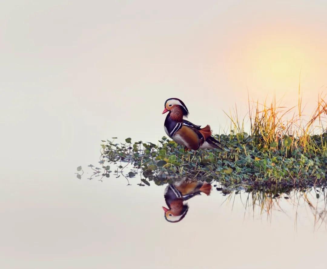 黄庭坚的诗10首，藏尽宋代文人的风骨!