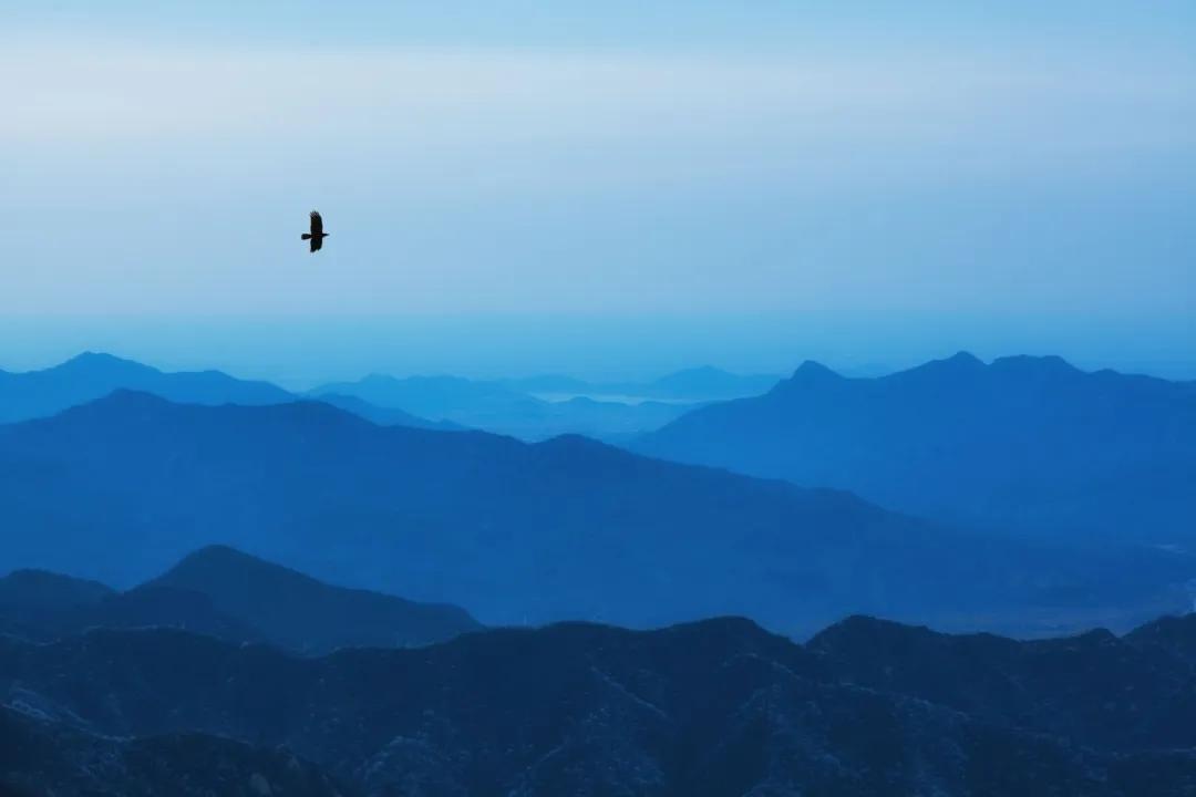 黄庭坚的诗10首，藏尽宋代文人的风骨!