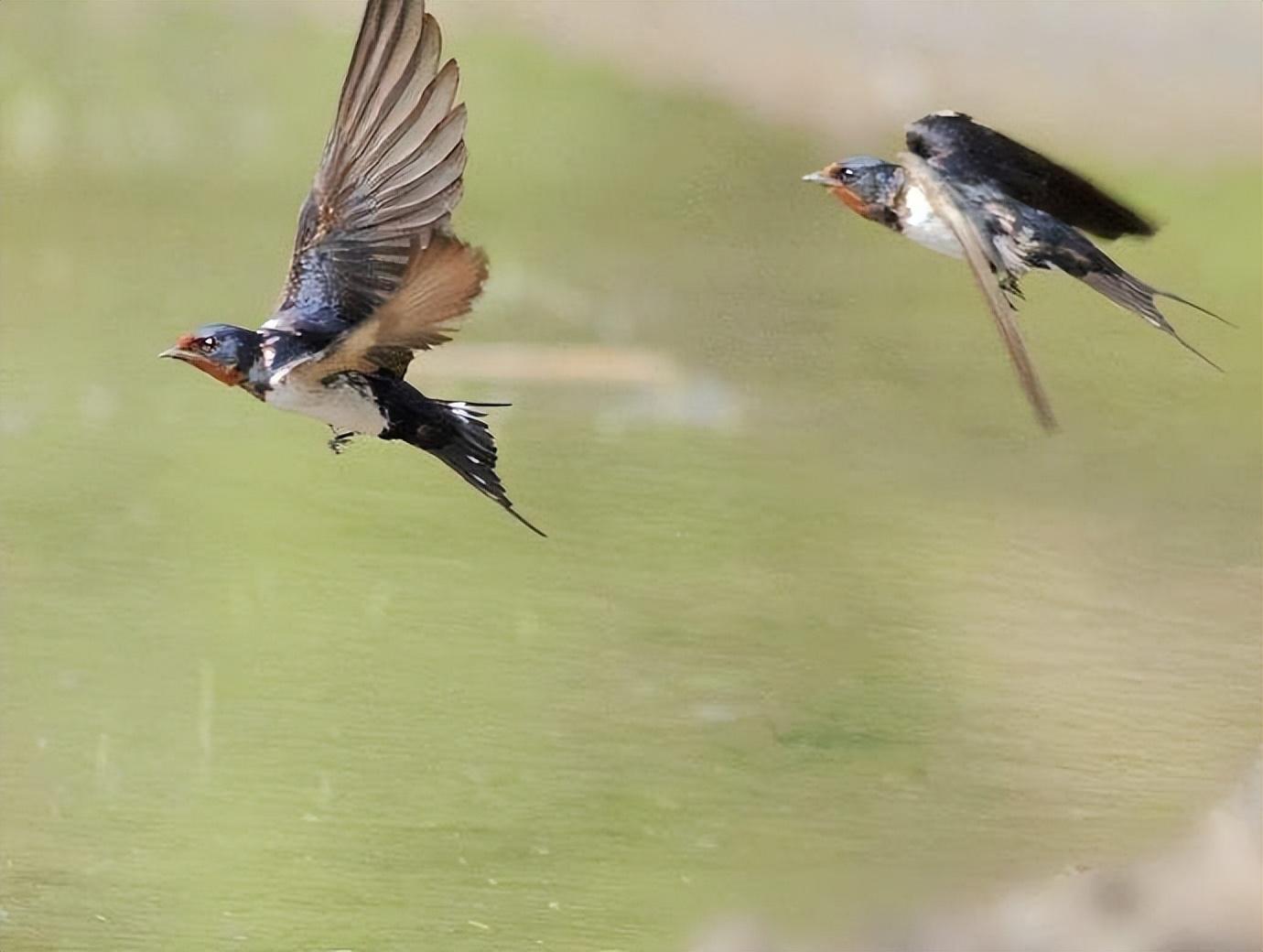 春日偶成15首，春天最令人赏心悦目