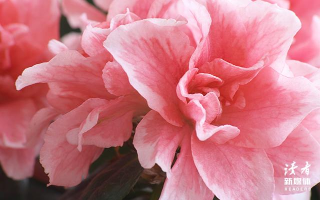 爱迪生名言10句，满满的正能量