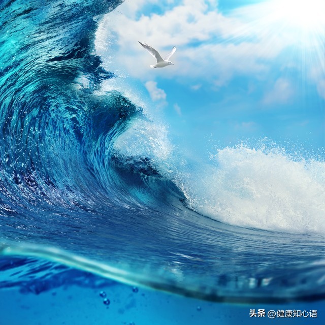 人生感言经典短语10句，不负热爱、不忘初心