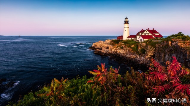 人生感言经典短语10句，不负热爱、不忘初心