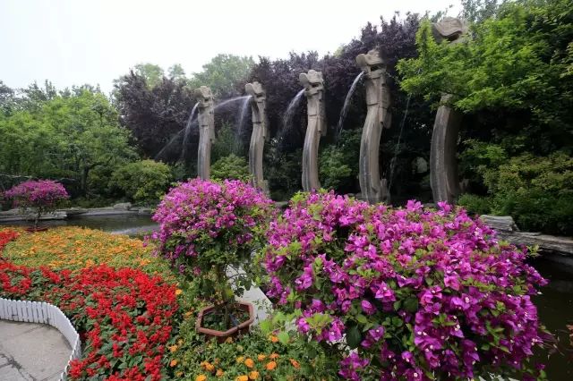 张宗昌的诗大全，保你开怀一笑