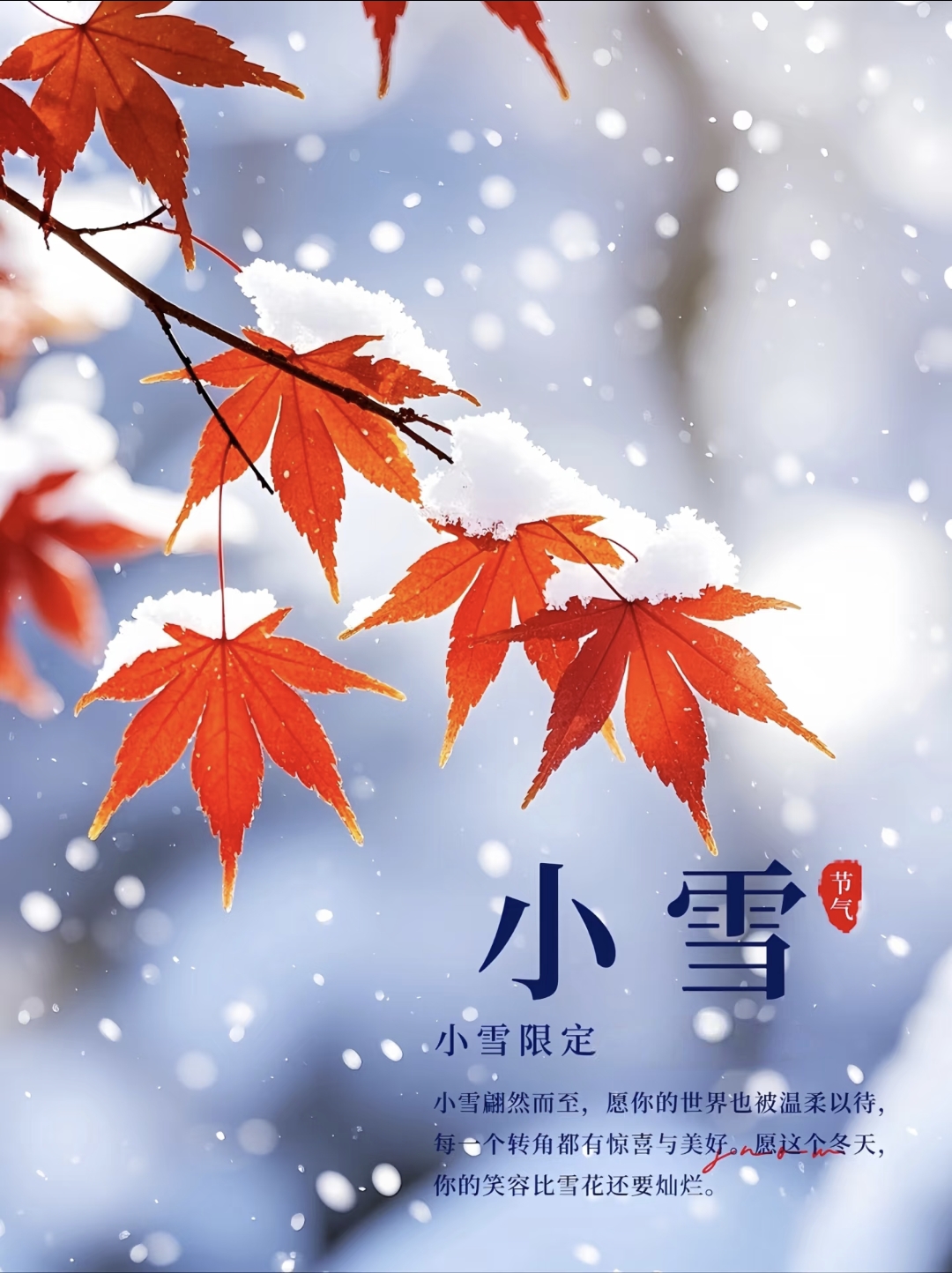 小雪节气语录20句，所有美好如约而至