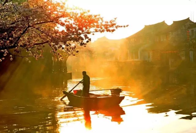 徐志摩情诗10首，句句深情，撩人心弦