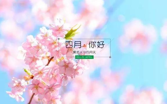 四月你好的唯美句子15句，往事皆清零，万物皆可期