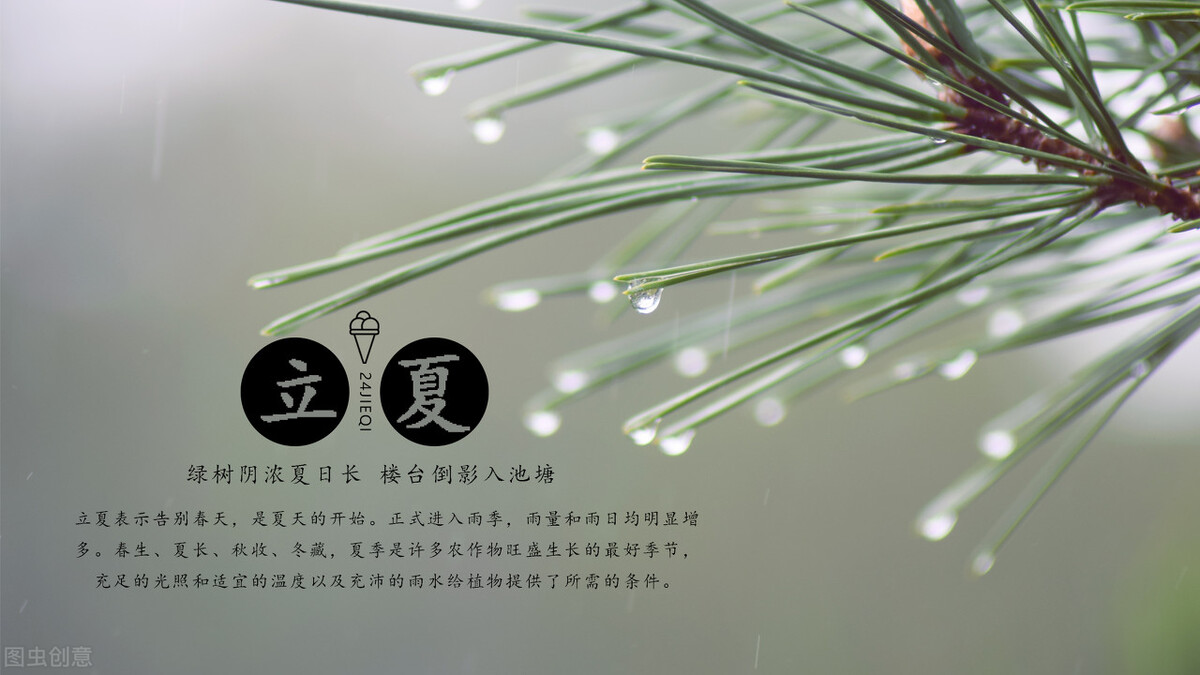 立夏简短的句子15句，清凉一夏从此开始