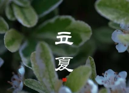 立夏简短的句子15句，清凉一夏从此开始