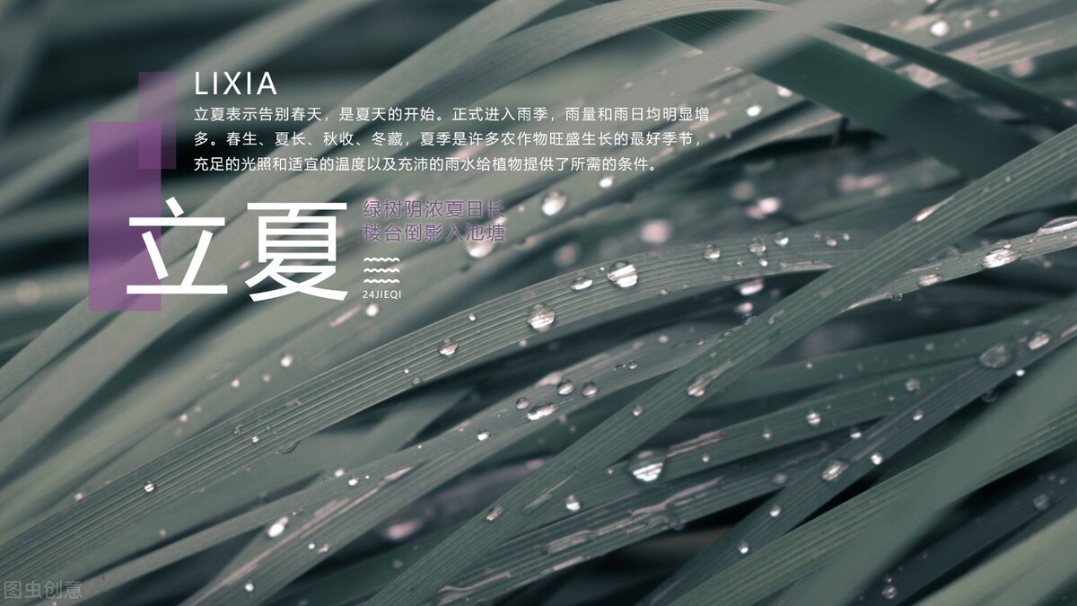 立夏简短的句子15句，清凉一夏从此开始