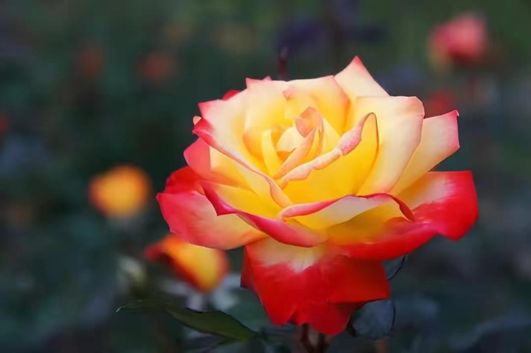 杜牧的诗10首，余韵深长，百读不厌