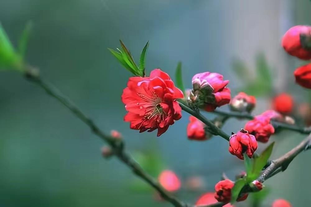 杜牧的诗10首，余韵深长，百读不厌