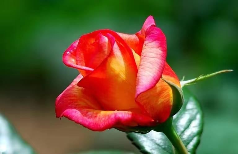 杜牧的诗10首，余韵深长，百读不厌