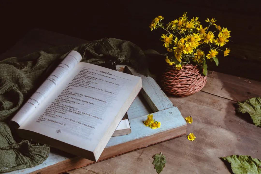 苏东坡诗词100句，写尽人生的百种滋味