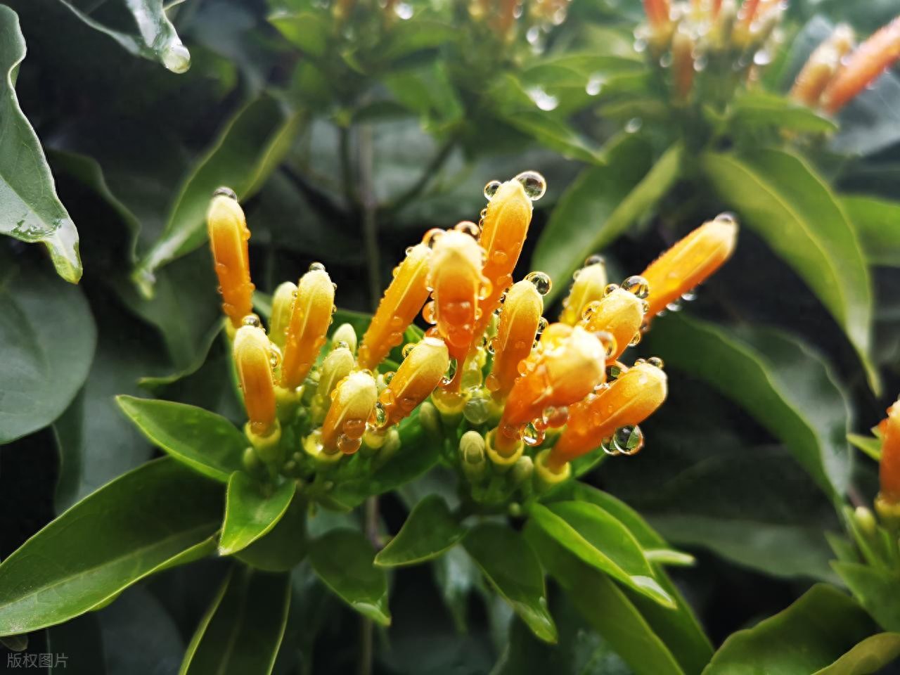 离别诗6首，看哭千年过客