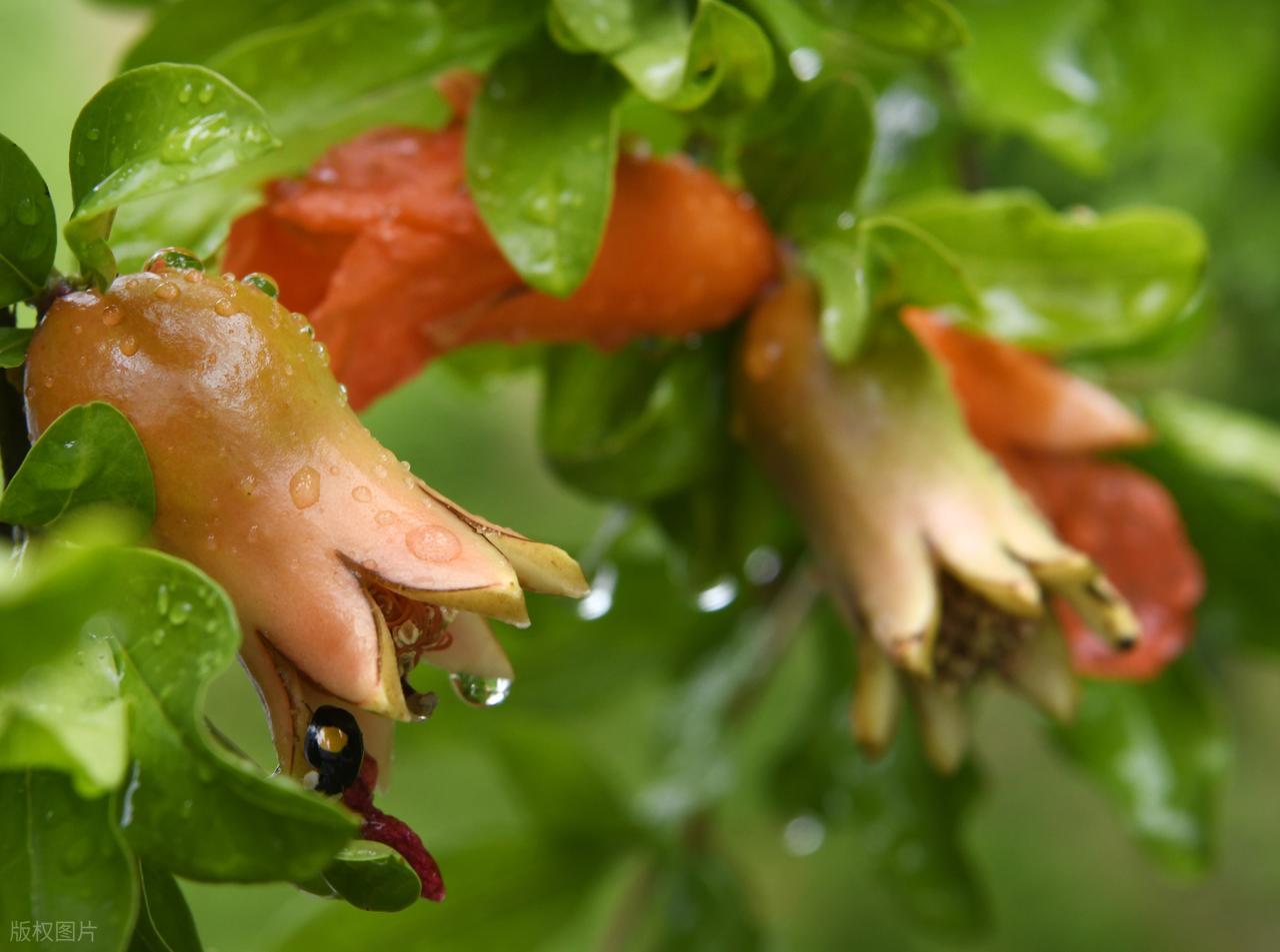 离别诗6首，看哭千年过客