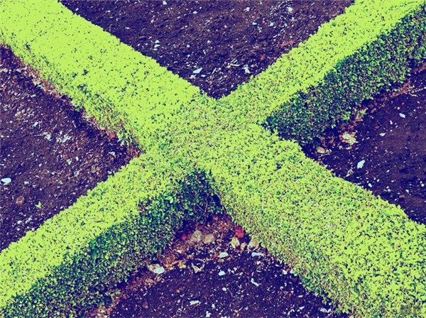 保持好心态文案22句，每一句都是心灵鸡汤