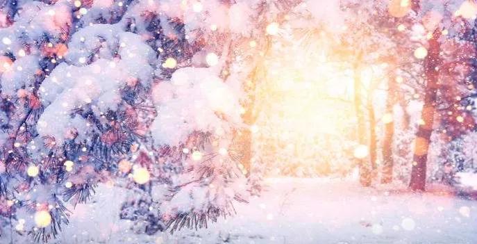 雪的句子唯美17句，最美不过下雪天