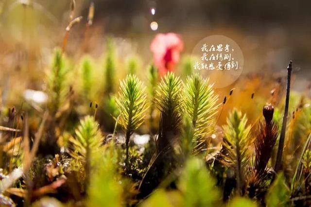 天冷了关心的话21句，句句暖人心