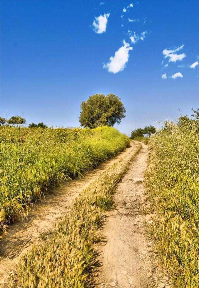 天冷了关心的话21句，句句暖人心