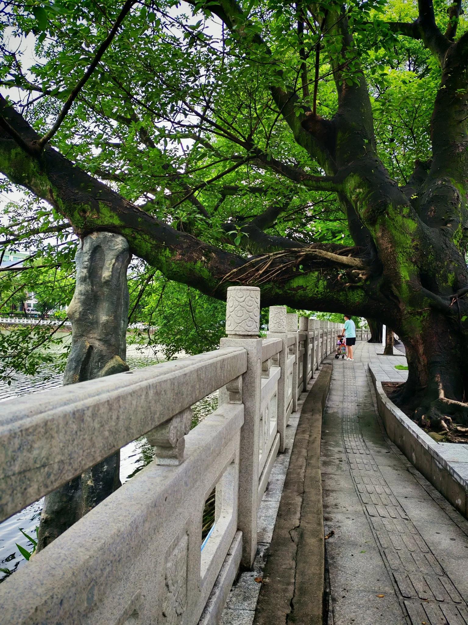 六月的唯美句子20句，祝福送给特殊的你