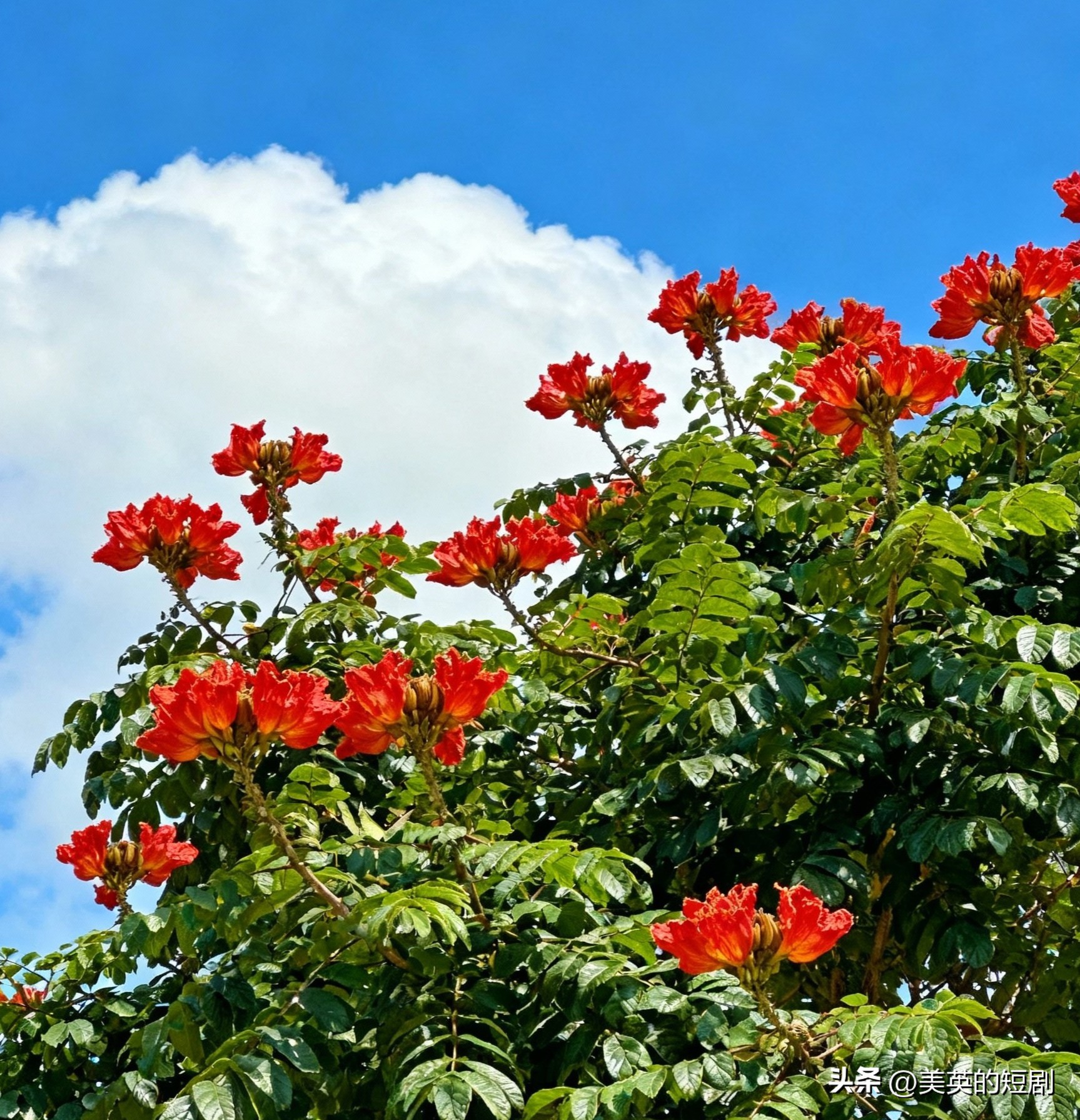 致自己的人生感悟9句，成为照亮前行路的一盏心灯