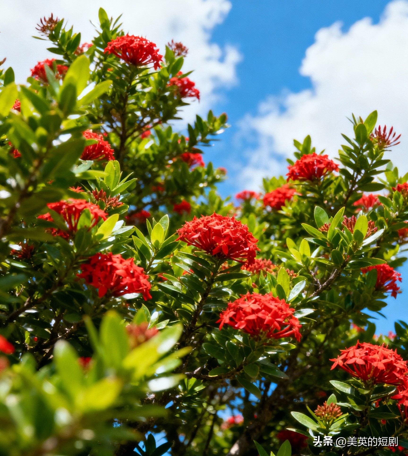 致自己的人生感悟9句，成为照亮前行路的一盏心灯