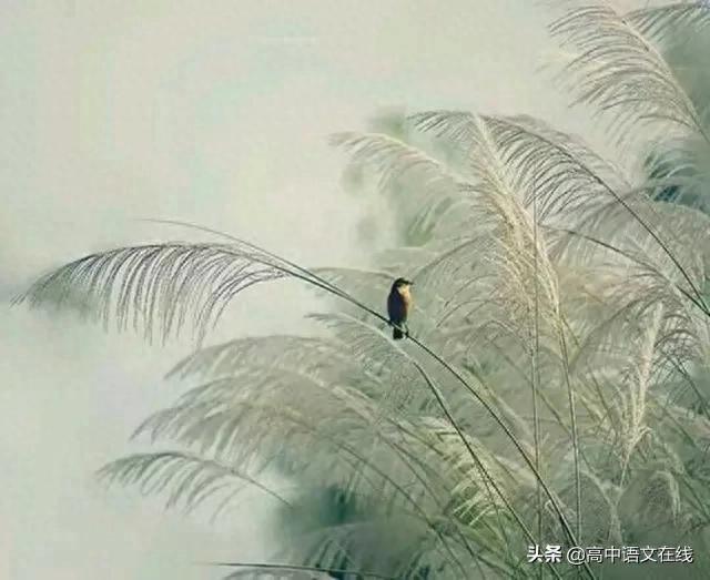 描写夏天的好诗10首，体验一个诗意又惬意的夏天