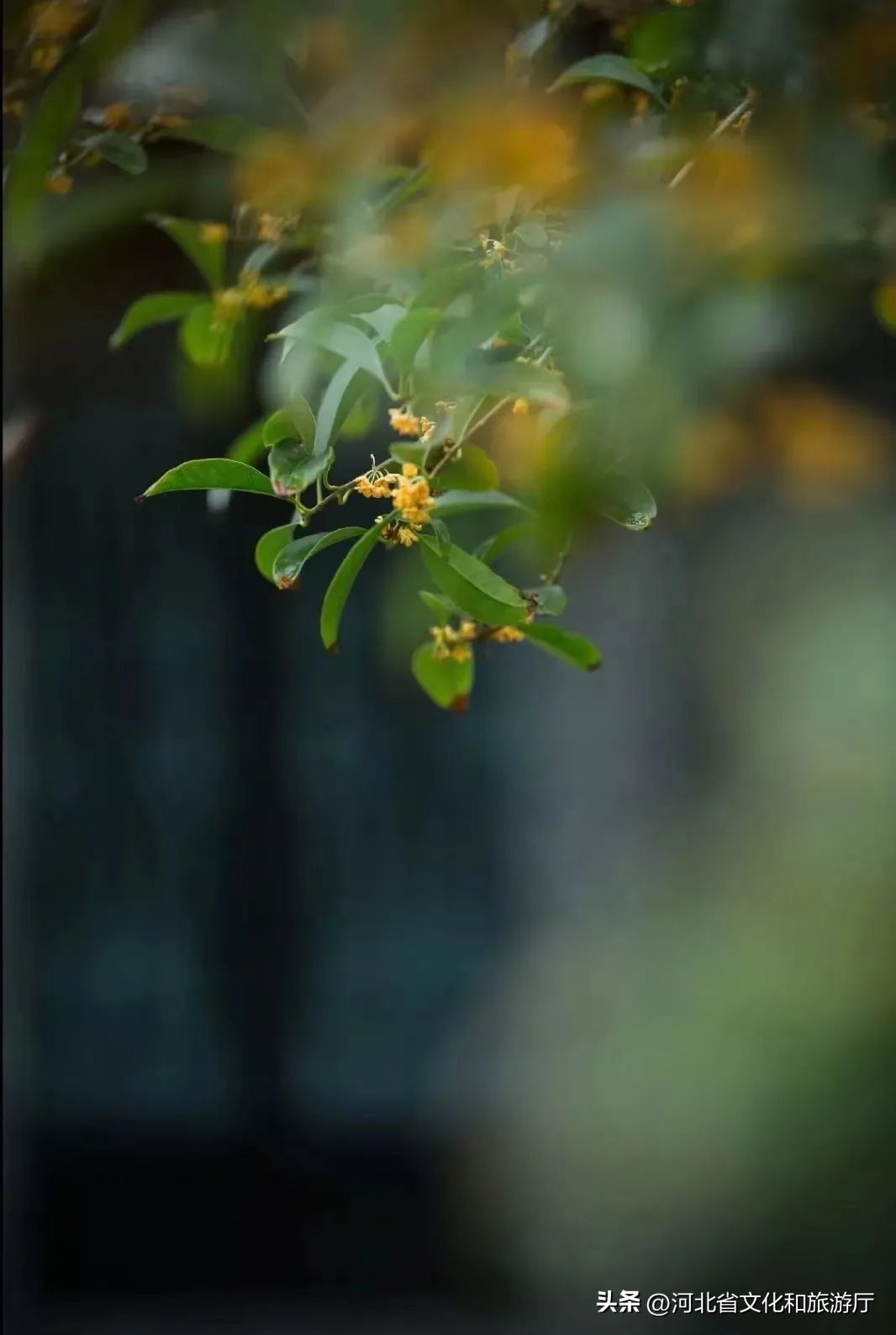 白露时节的诗词10首，一起感受白露之美