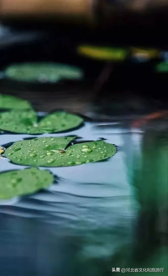 白露时节的诗词10首，一起感受白露之美