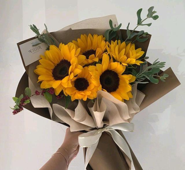 旅行的句子唯美短句20句，山高海阔，人间值得