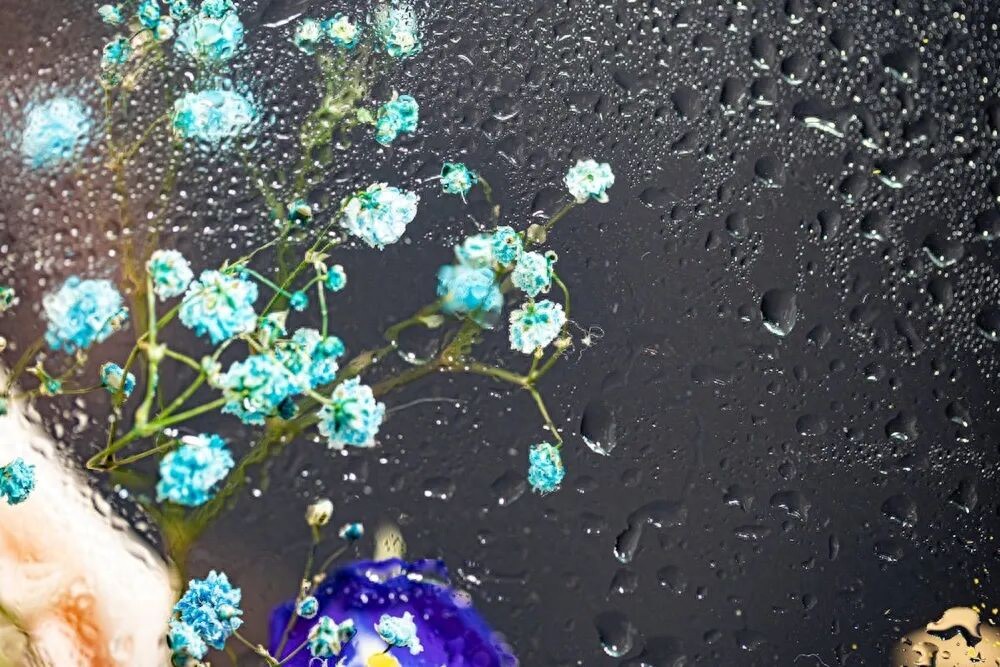 好看的个性签名30句，温柔且有力量