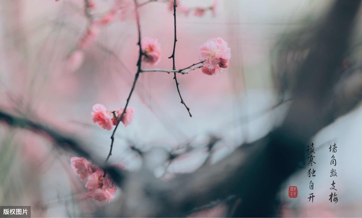 唐诗名句100句，读完提升一个境界!