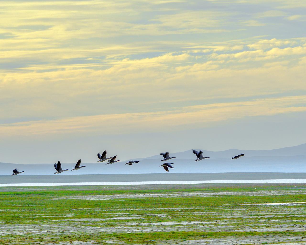夏末秋初的唯美诗句10首，凉风有信，立秋悄然而至