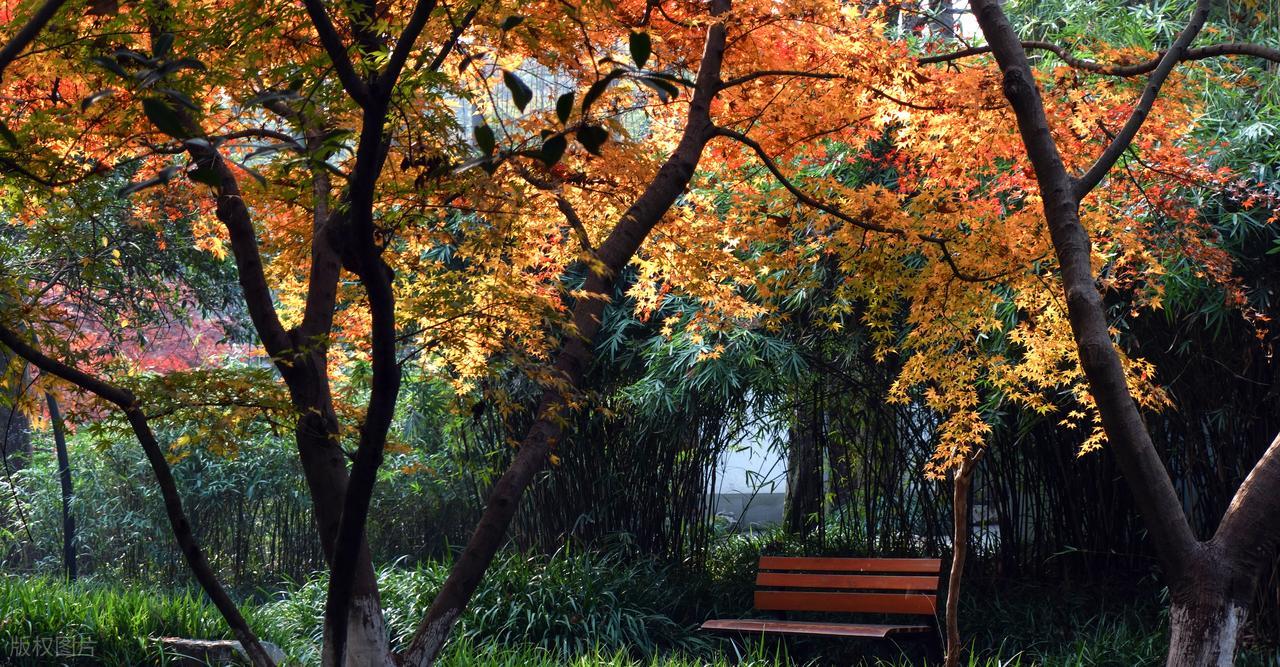夏末秋初的唯美诗句10首，凉风有信，立秋悄然而至