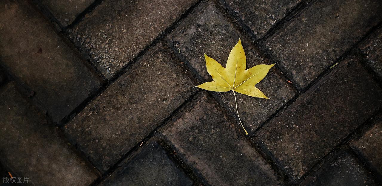 夏末秋初的唯美诗句10首，凉风有信，立秋悄然而至