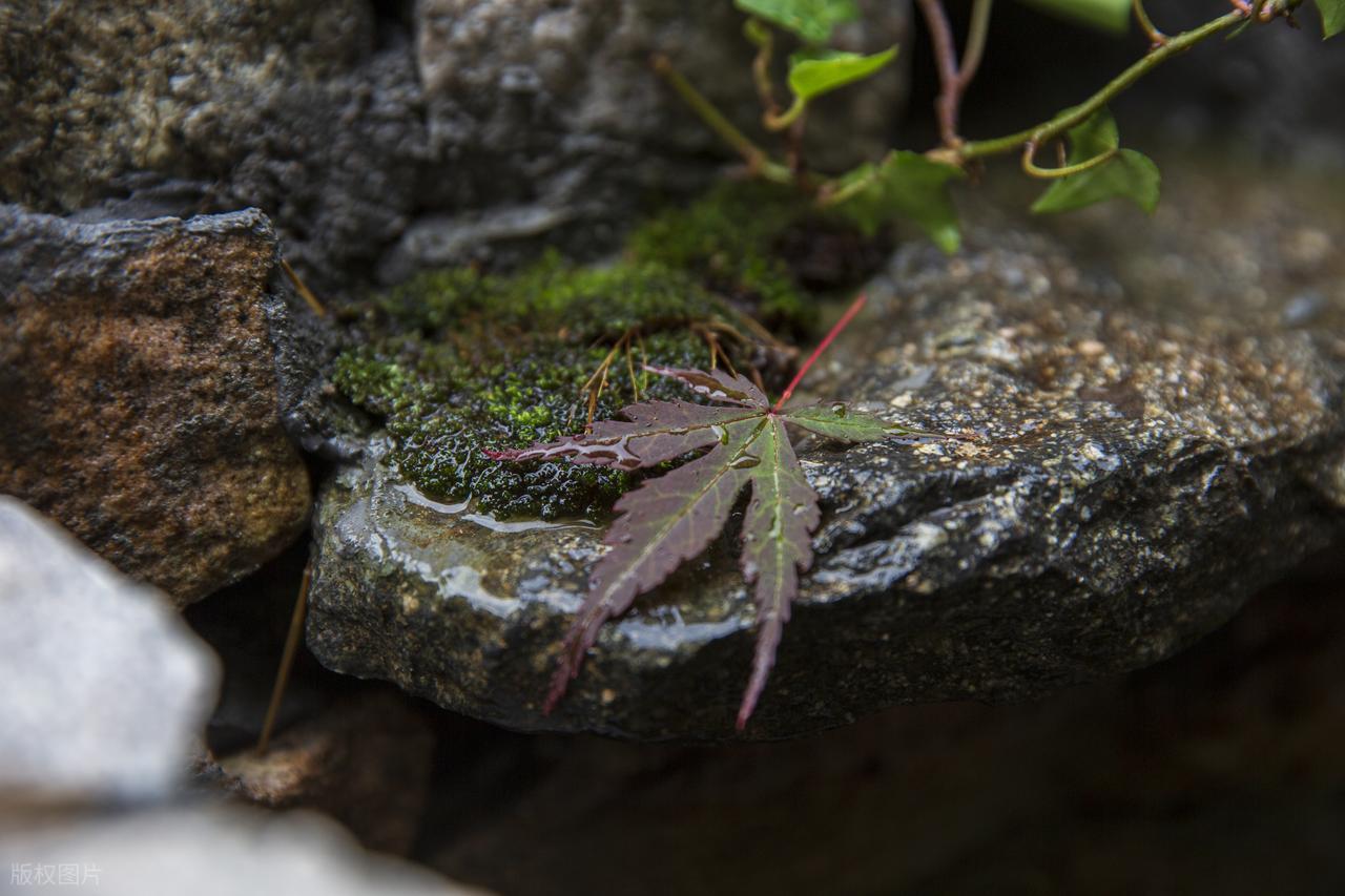 夏末秋初的唯美诗句10首，凉风有信，立秋悄然而至