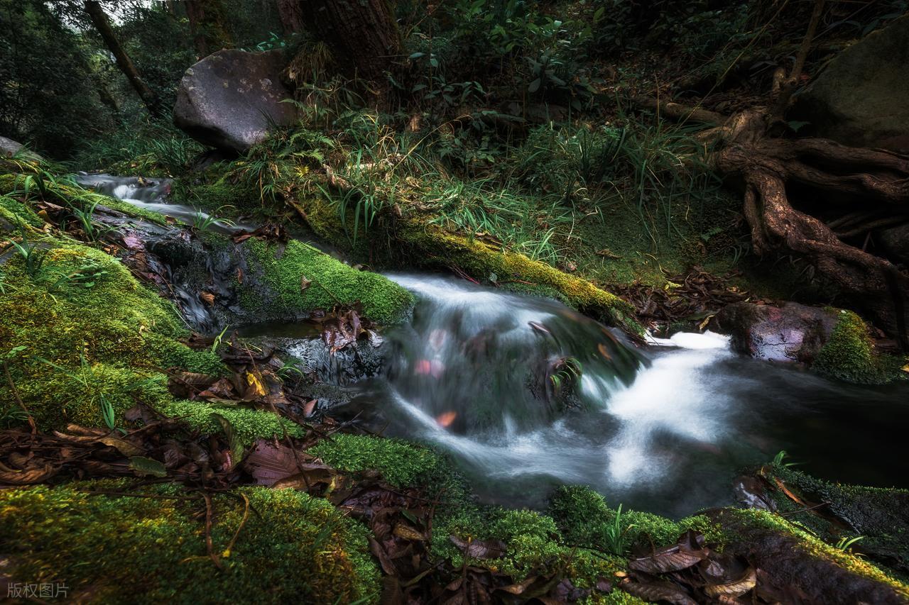 夏末秋初的唯美诗句10首，凉风有信，立秋悄然而至