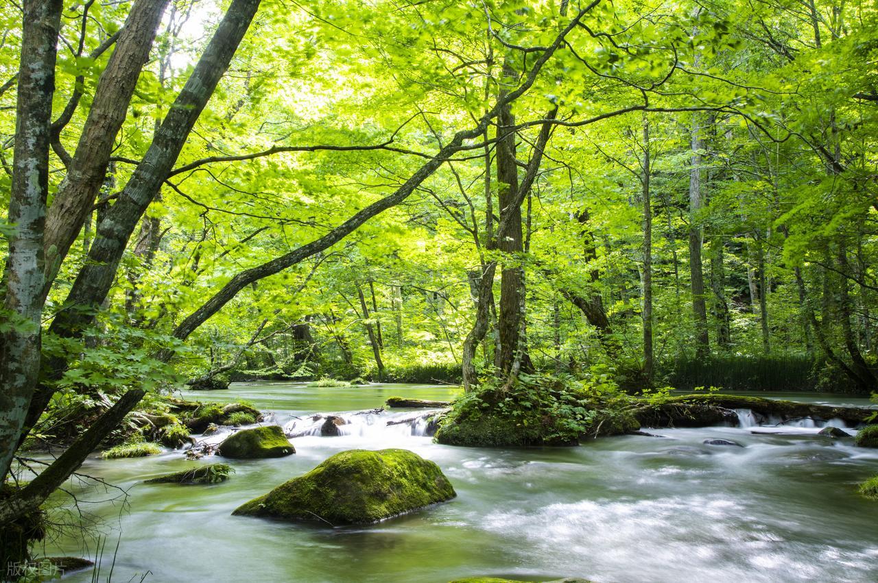 夏末秋初的唯美诗句10首，凉风有信，立秋悄然而至