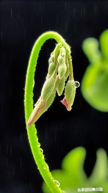 感恩的话5句，让感恩的种子在彼此心间生根发芽